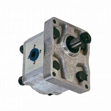 David Brown Hydraulic Gear Pump - PA2215/1905G5B26B26C