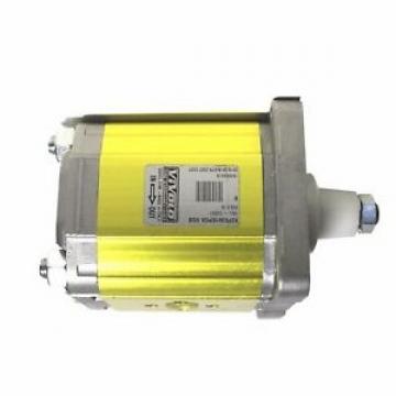 David Brown Hydraulic Gear Pump - P2CP1911R3B2A