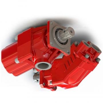 TX11234, 5129486, 8282886, 5169039 Long/ FIAT/ FORD/ Case tractor hydraulic pump